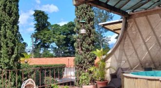 Charming Apartment in the Heart of the Colonial City