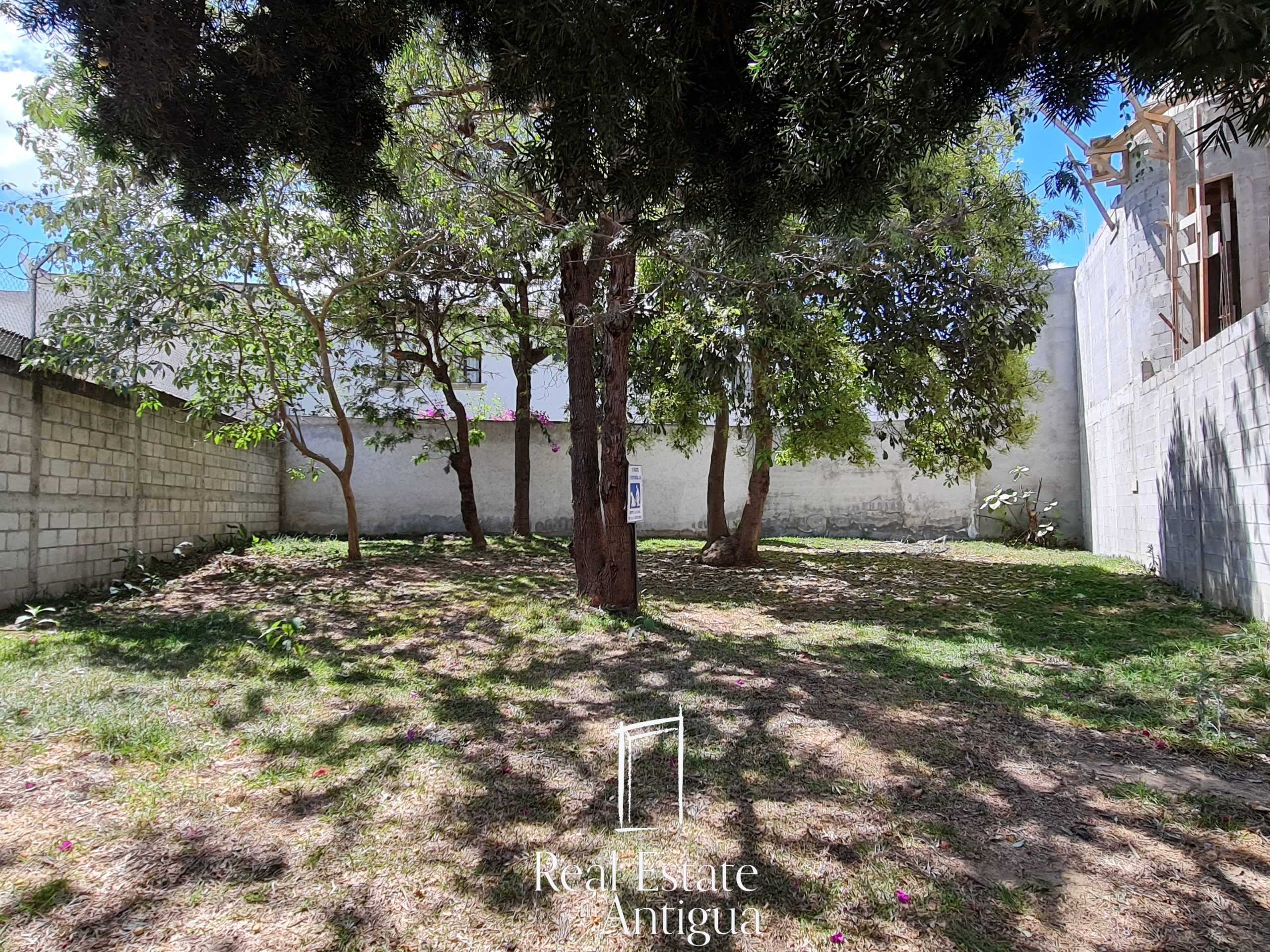 A Special Opportunity in La Serenísima