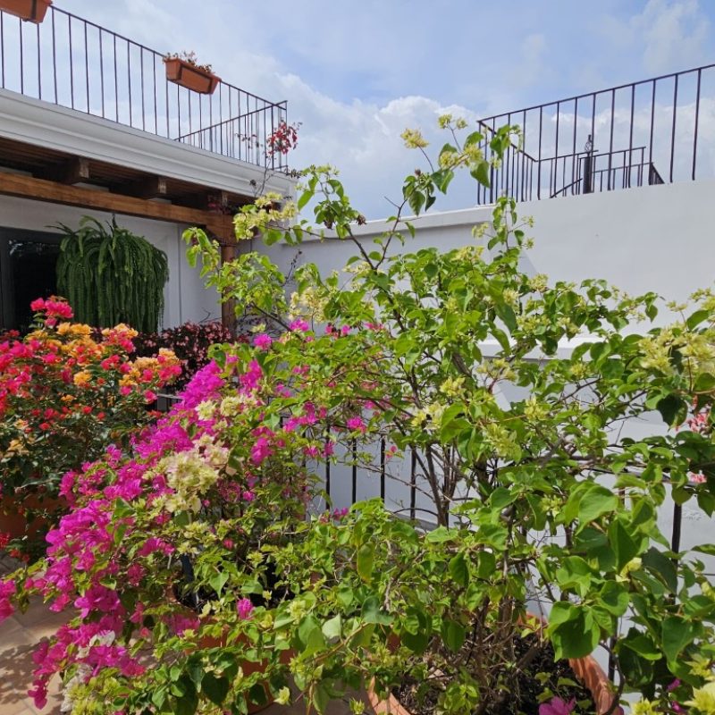 Hacienda del Comendador, Casa Amueblada en Venta