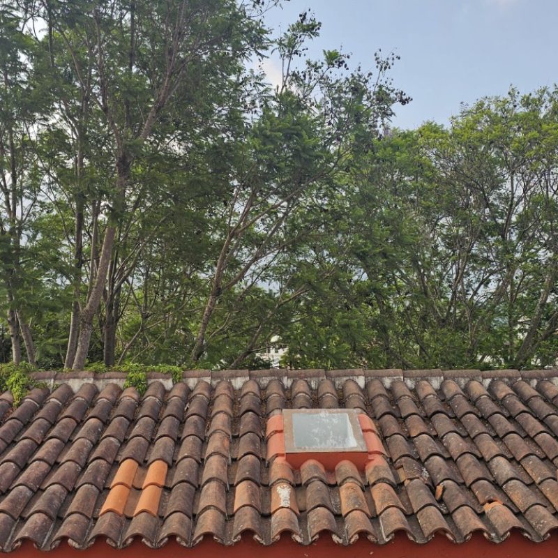 Casa en renta en Cortijo de las Flores