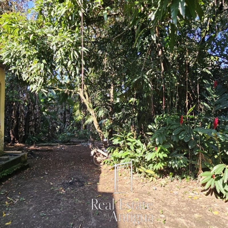 Investment opportunity in San Felipe, Retalhuleu