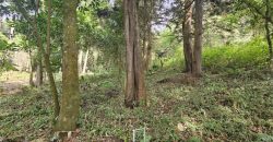 Land for sale near La Antigua Guatemala