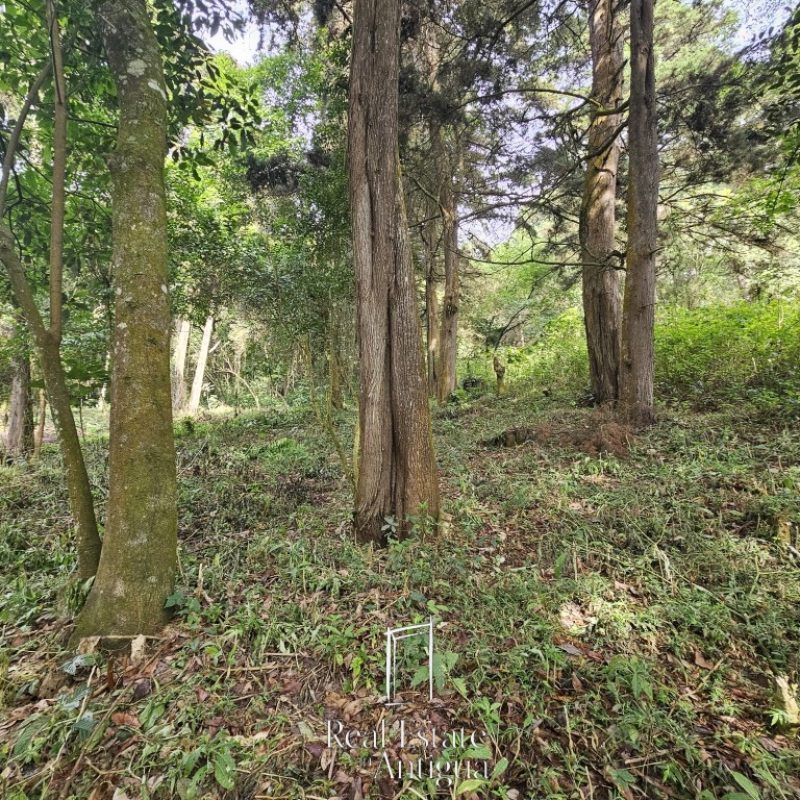 Land for sale near La Antigua Guatemala