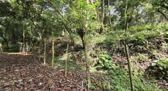 Land for sale near La Antigua Guatemala