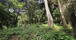 Terreno en Venta cerca de Antigua Guatemala