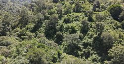 Terreno en venta en San Mateo Milpas Altas