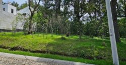 Investment opportunity in Antigua Gardens