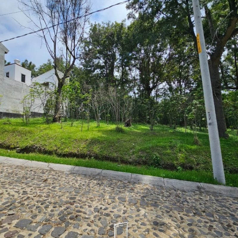 Investment opportunity in Antigua Gardens