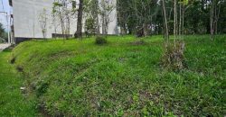 Investment opportunity in Antigua Gardens