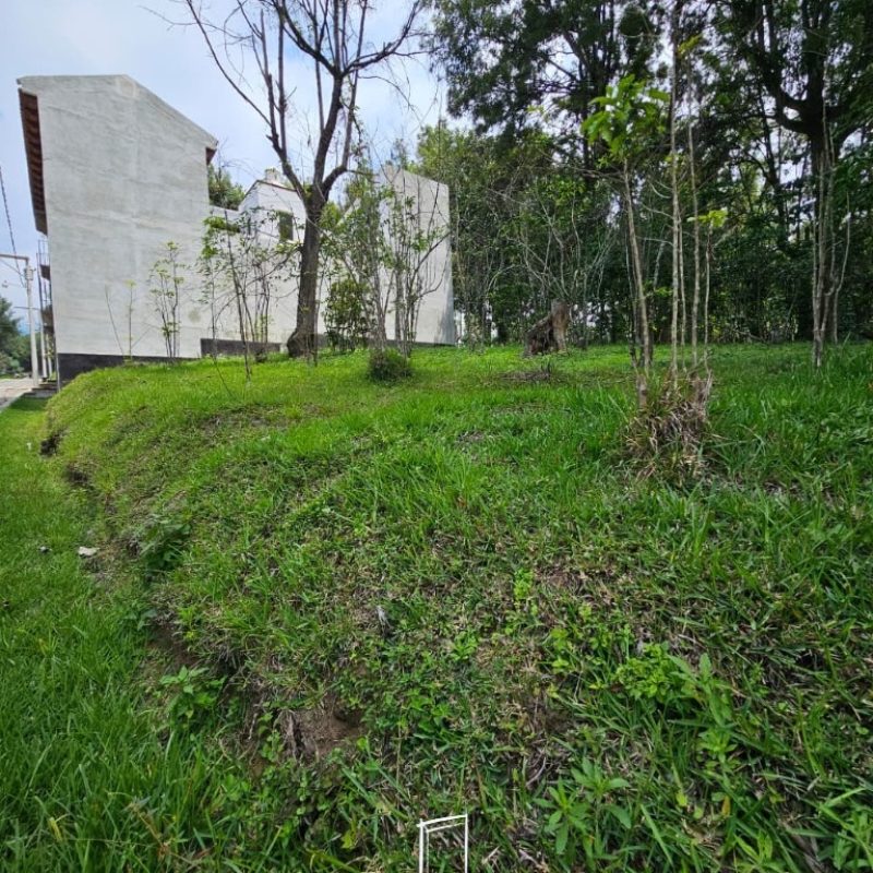 Investment opportunity in Antigua Gardens