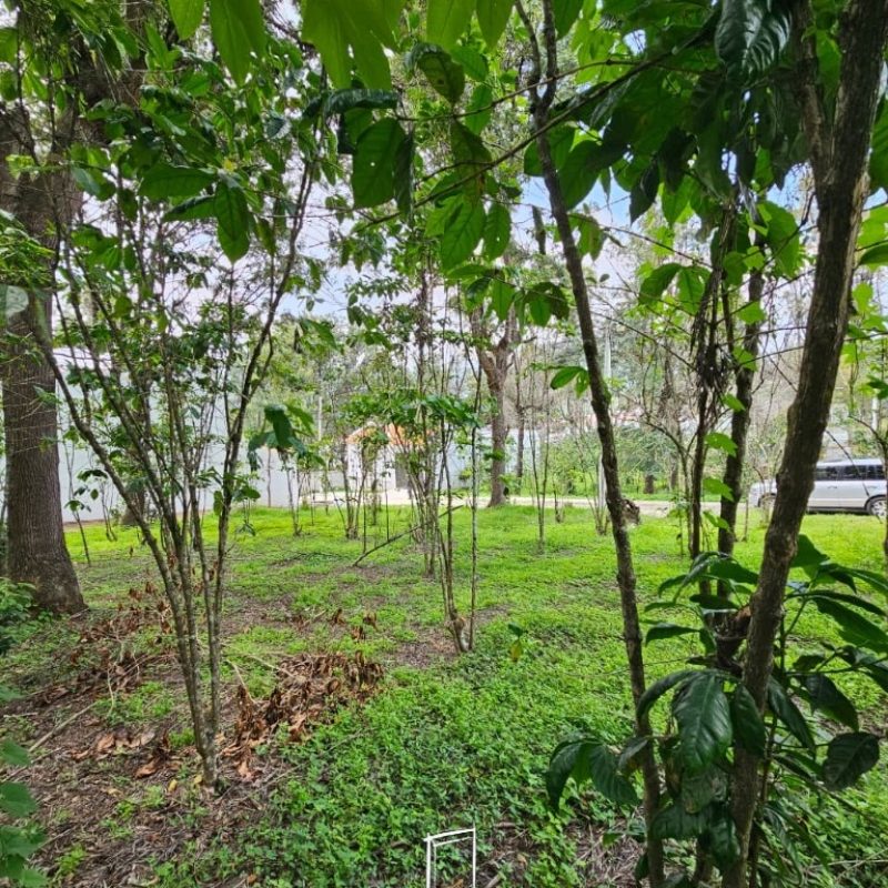 Investment opportunity in Antigua Gardens