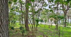 Investment opportunity in Antigua Gardens
