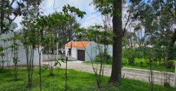 Investment opportunity in Antigua Gardens
