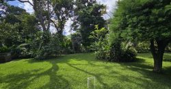 Land for sale located in a strategic area, ideal for investment.