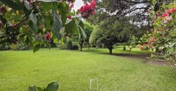 Land for sale located in a strategic area, ideal for investment.