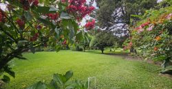 Land for sale located in a strategic area, ideal for investment.