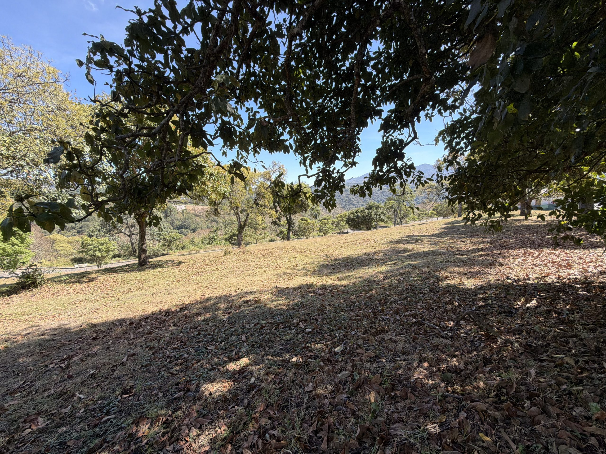 Lote de 15 x 20 metros, frente a parque de condominio Exclusivo