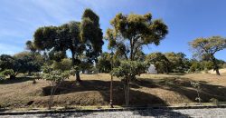 This is an excellent opportunity due to its size-to-price ratio.