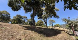 This is an excellent opportunity due to its size-to-price ratio.