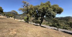 This is an excellent opportunity due to its size-to-price ratio.