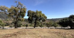 This is an excellent opportunity due to its size-to-price ratio.