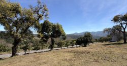 This is an excellent opportunity due to its size-to-price ratio.