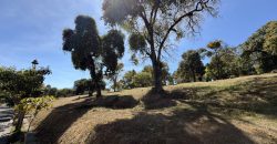 This is an excellent opportunity due to its size-to-price ratio.