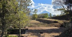 This lot is one of the best options you will find in the market