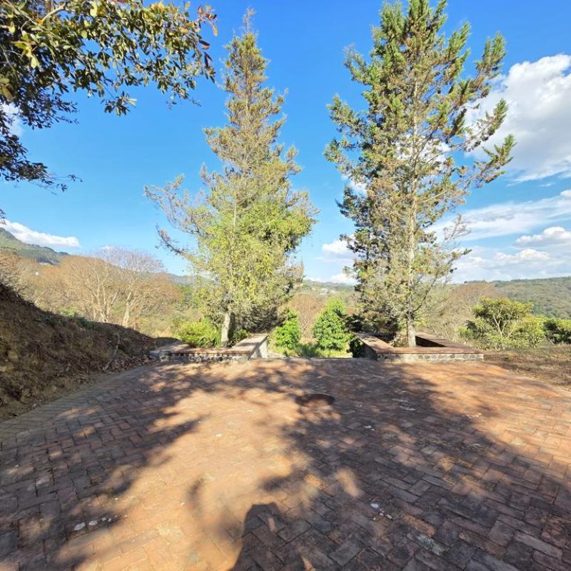 This lot is one of the best options you will find in the market