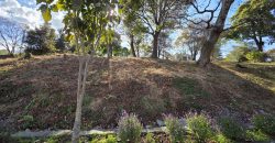 This lot is one of the best options you will find in the market