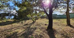 This lot is one of the best options you will find in the market