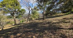 This lot is one of the best options you will find in the market