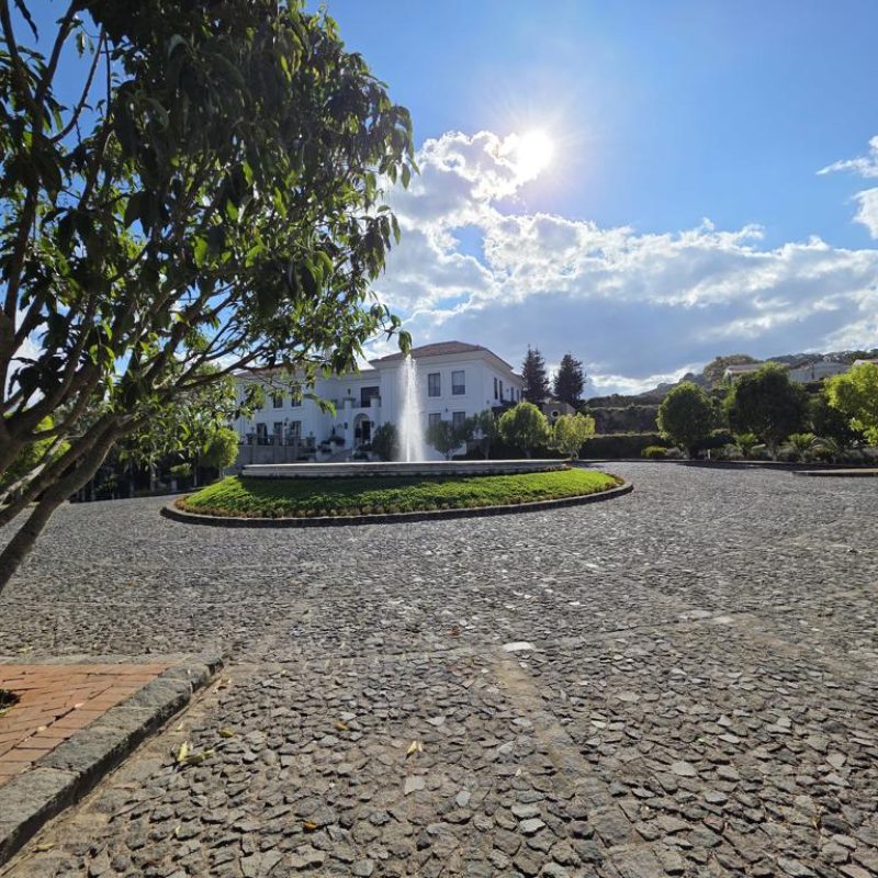 This lot is one of the best options you will find in the market