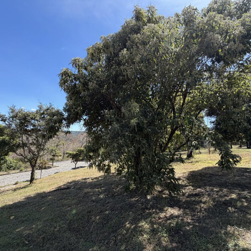 Ideal investment in one of the best gated communities in town