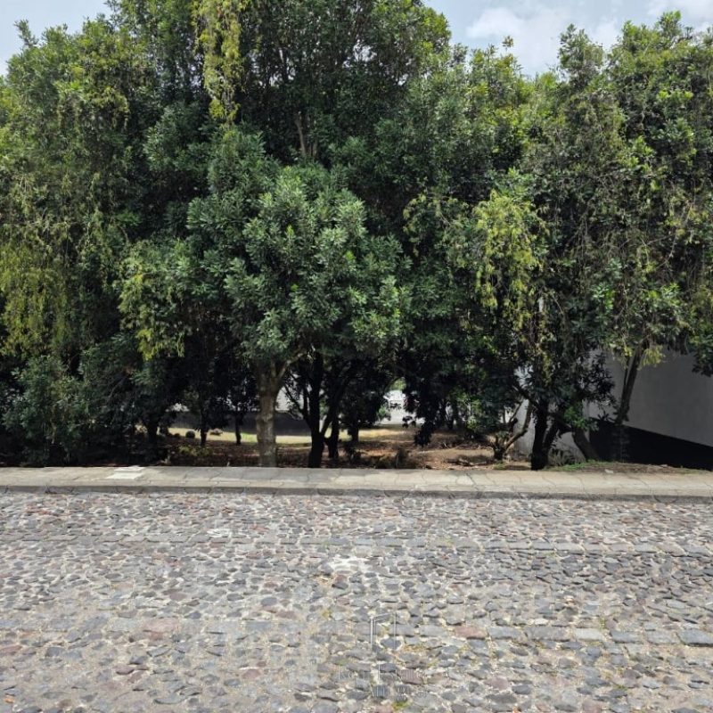 Spacious lot for sale located in Hacienda del Comendador