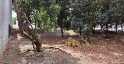 Spacious lot for sale located in Hacienda del Comendador