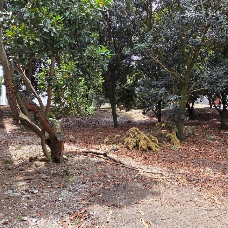 Spacious lot for sale located in Hacienda del Comendador