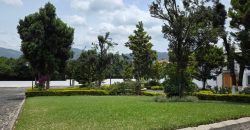 Spacious lot for sale located in Hacienda del Comendador