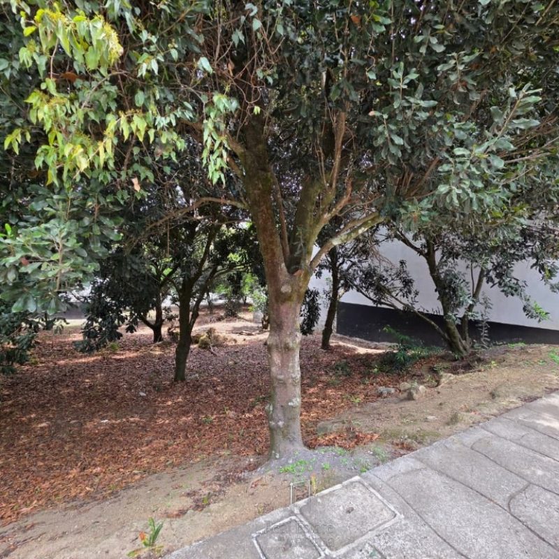 Spacious lot for sale located in Hacienda del Comendador