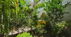 Colonial-Style Home with Dome, Fountain and Spectacular Views in Los Franciscanos Residential