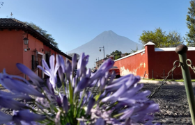 Live Near the Historic Center of Antigua in Residencial Las Gravileas