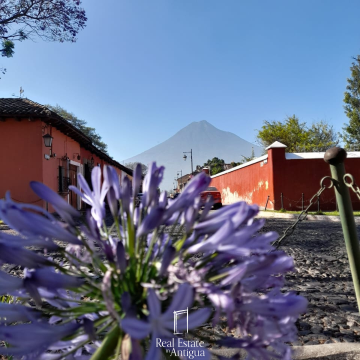 Live Near the Historic Center of Antigua in Residencial Las Gravileas